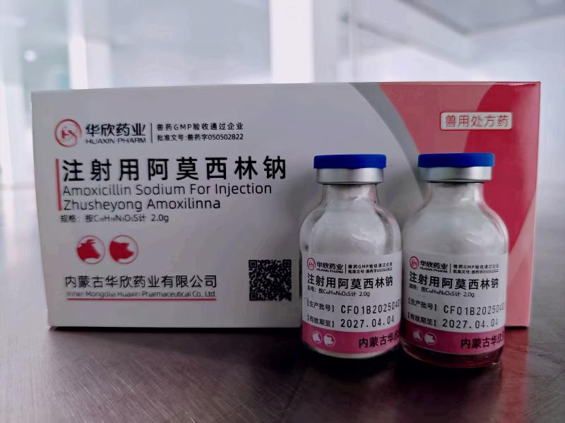  Amoxicillin Sodium For Injection